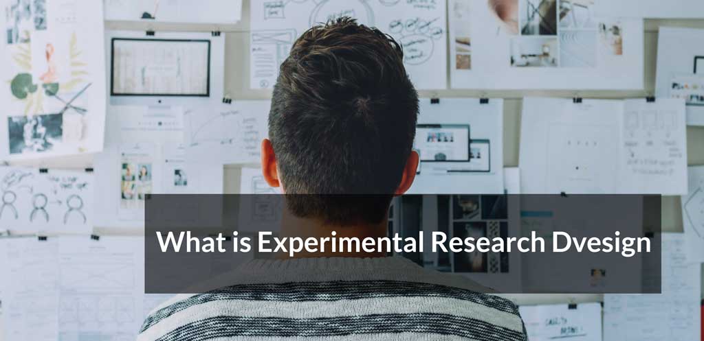 You are currently viewing What is experimental research design